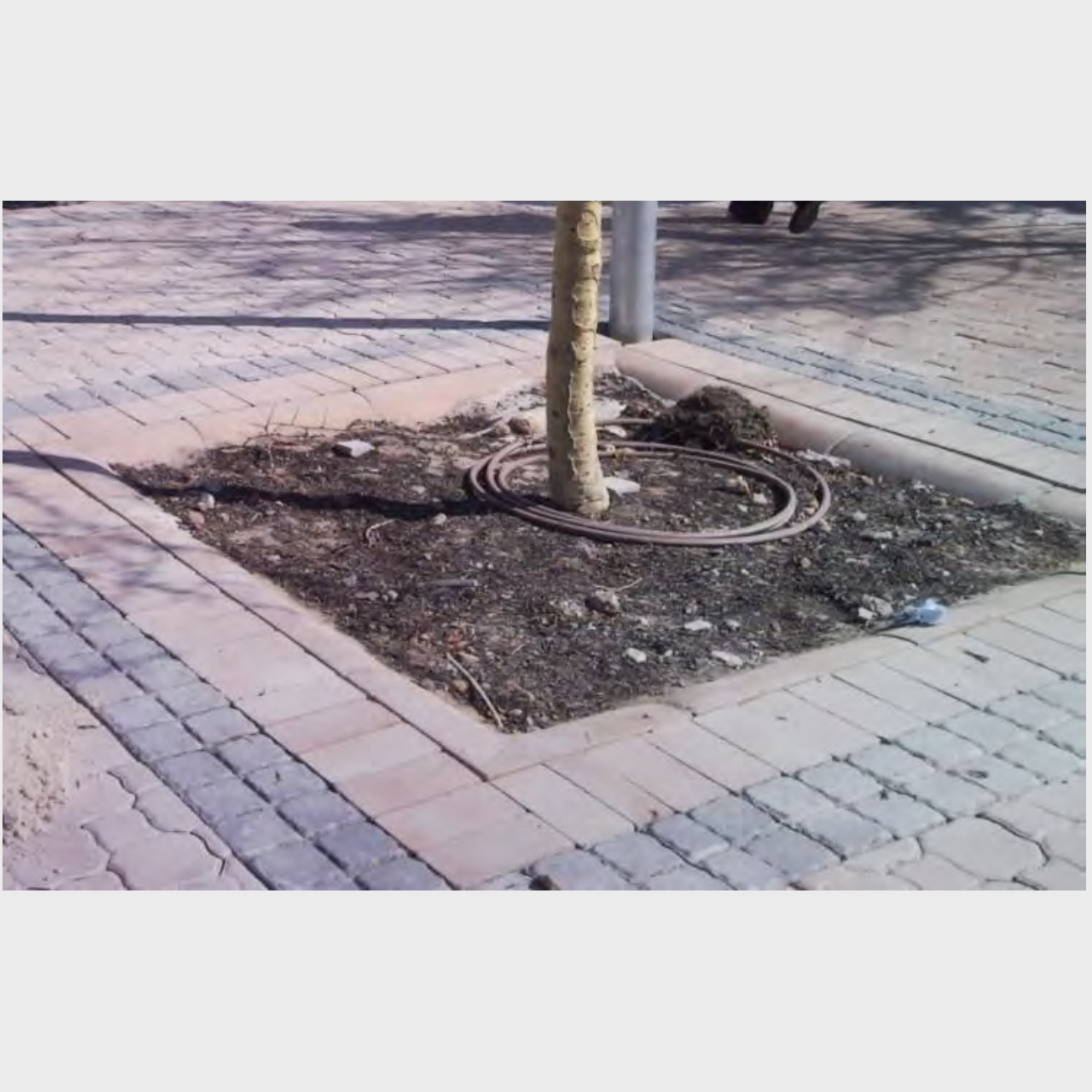 Planters and Tree Surrounds Planters and Tree Surrounds